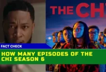 The Chi Season 7 A Comprehensive Guide to Episode Count