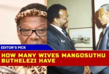 The Marital History of Mangosuthu Buthelezi A Detailed Account of the South African Statesman's Family Life