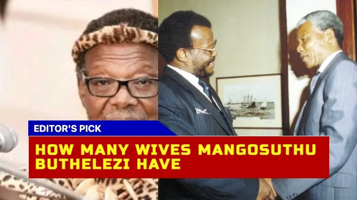 The Marital History of Mangosuthu Buthelezi A Detailed Account of the South African Statesman's Family Life