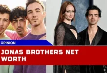 The Acquisition of a $150 Million Net Worth by the Jonas Brothers