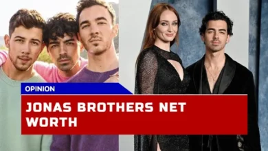 The Acquisition of a $150 Million Net Worth by the Jonas Brothers