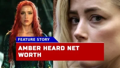 How Did the Defamation Lawsuit Impact Amber Heard Net Worth in 2024?