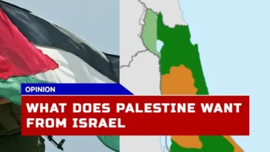 What Does Palestine Want from Israel? Understanding the Israel-Palestine Conflict